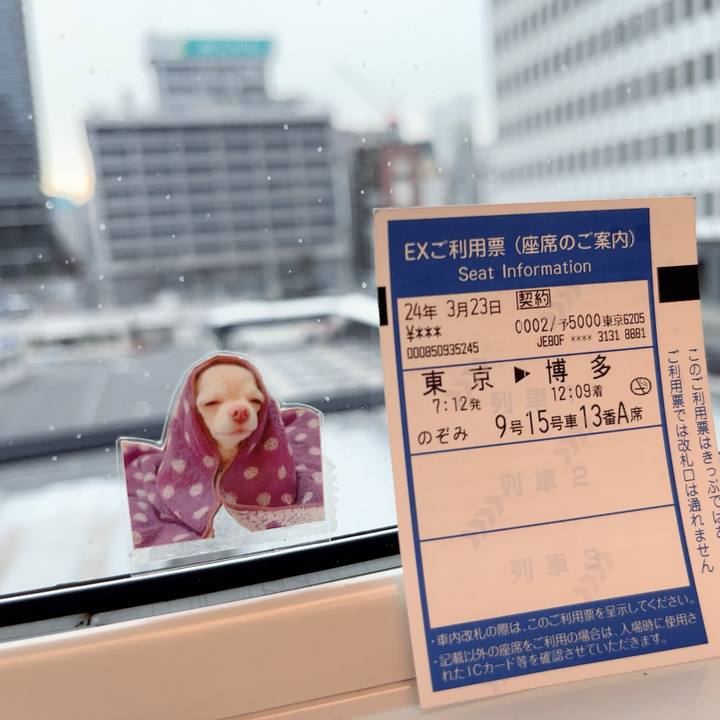 Cd1d8e23 44c7 4805 8df3 bceee1258c5a 1711147828652