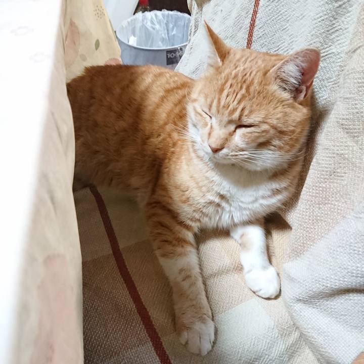 Cd1dad5f f971 450b ae2c b498085f8893 1581975861133