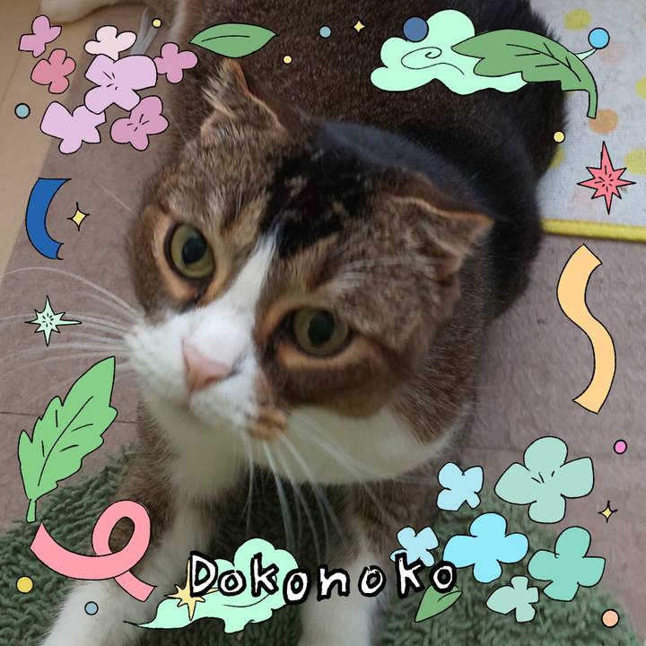 Cd1dbbf5 01cf 4766 8ae2 79601895c3e1 1717767164538