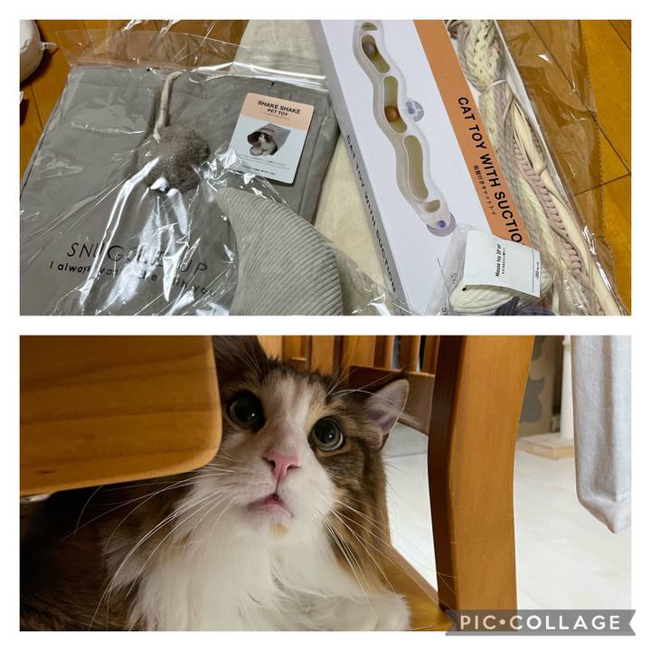 Cd1dcd40 b221 42d3 8761 e4c5453c8f6d 1666430993017