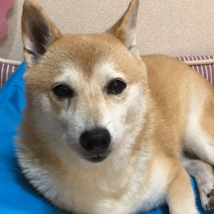 Cd1dd626 2ea0 4675 9d88 f07c4f17faac 1598002462076