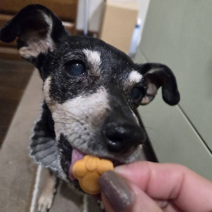 Cd1e6df0 71b3 4d01 9c14 ad71dbbabe03 1768074578703