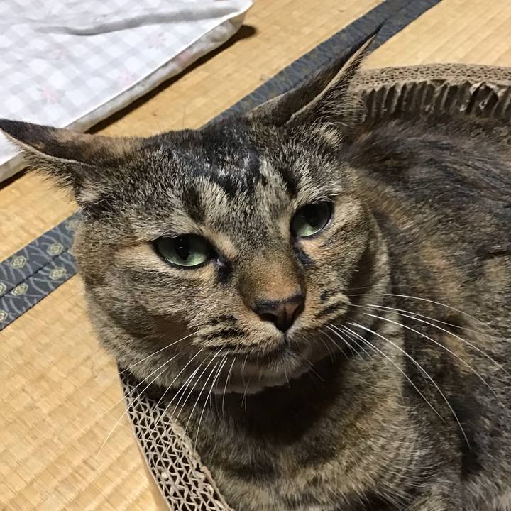 Cd1ec551 42ee 43af 9612 f1f73b32ff03 1724666601557