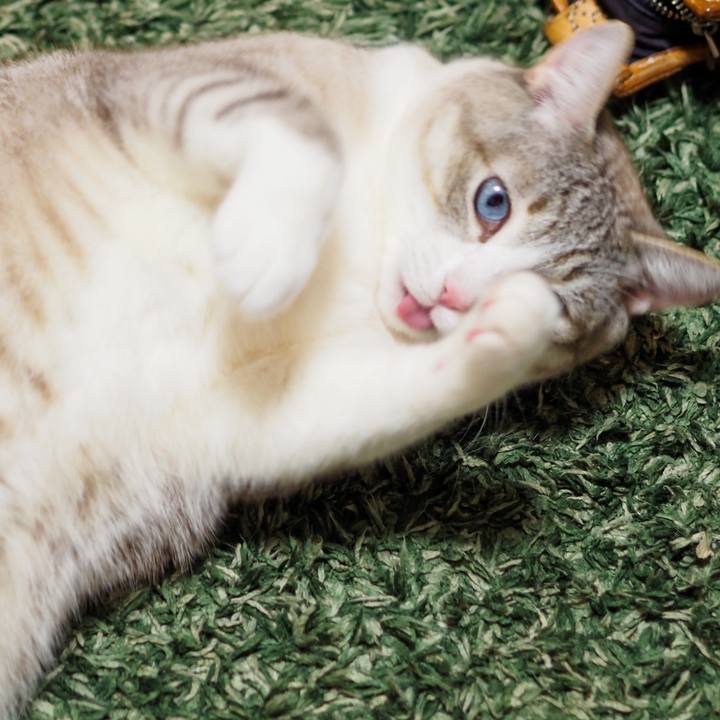 Cd1ee871 3026 4927 b8f5 9b3c89c5265a 1618311905293