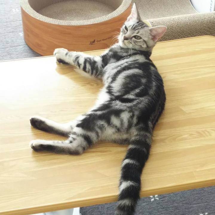 Cd1efd43 8ebf 4f29 b637 72b70544a66b 1539431801370