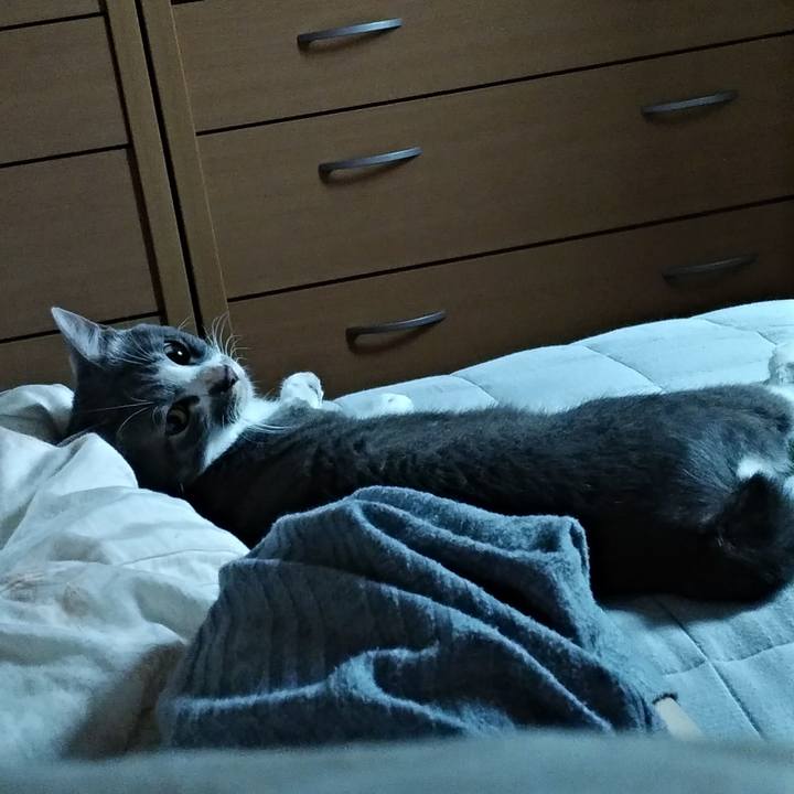 Cd1f28a6 15bf 4920 8641 3fcefd4eb8a6 1594679742178