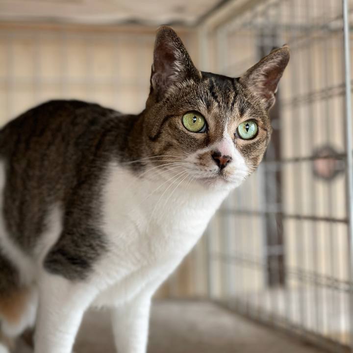 Cd1f2d5d 3656 4044 8db3 d37748f33b21 1617500450805