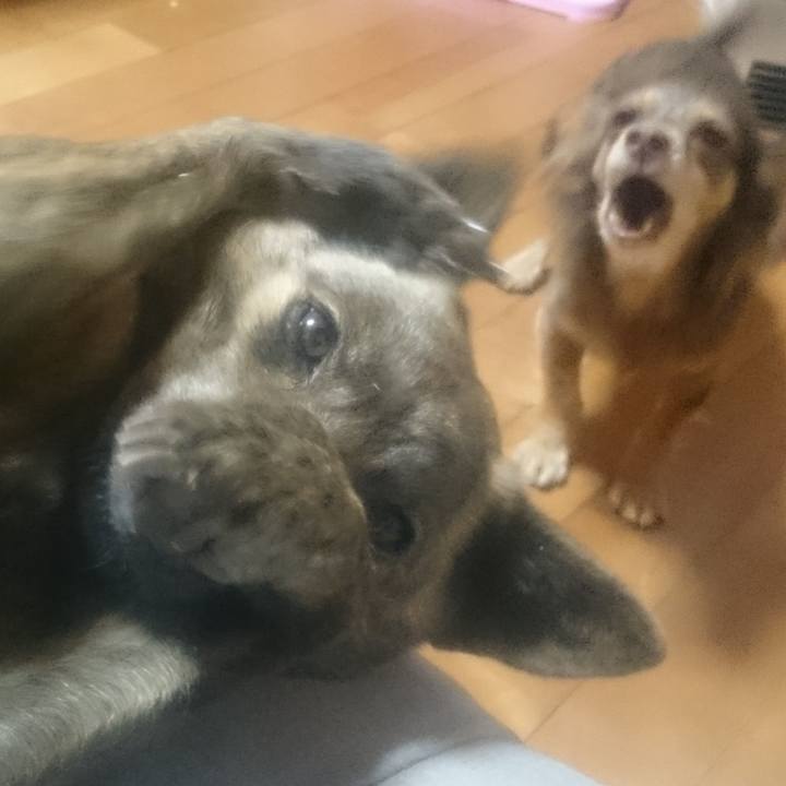 Cd1fa891 10f1 46dd 8a63 4586eac43bf7 1523531280581