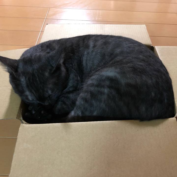 Cd1fe151 d748 4fc1 bdeb 1d51d3e77221 1597667408940