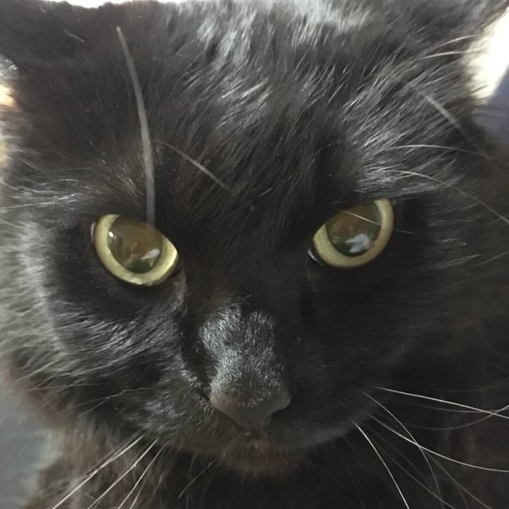 Cd1fe93d b445 482d 9fce f6d2e085a203 1528377464488