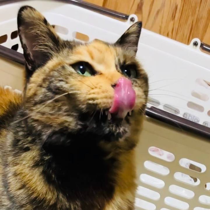 Cd200bb6 a2be 4f25 a1b7 8bc42c6973bc 1735953528218