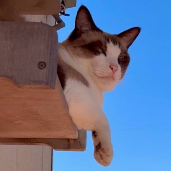 Cd2012b1 1bba 4f4b a634 585b82b84748 1761186722291