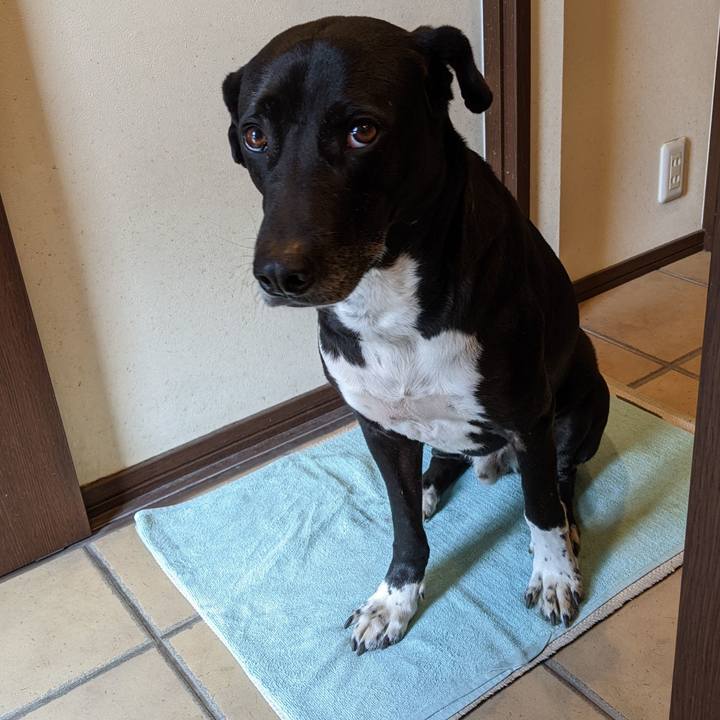 Cd202460 ad21 4106 86eb 2f0cc32a28b1 1647477902915