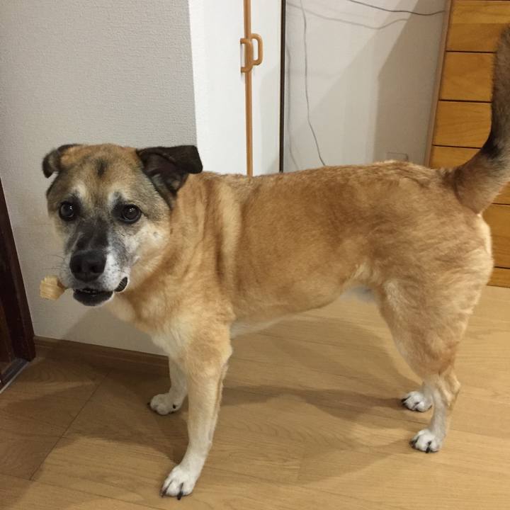 Cd2076d7 f3e9 4dd4 a2ae 693db8128ce6 1534843628147