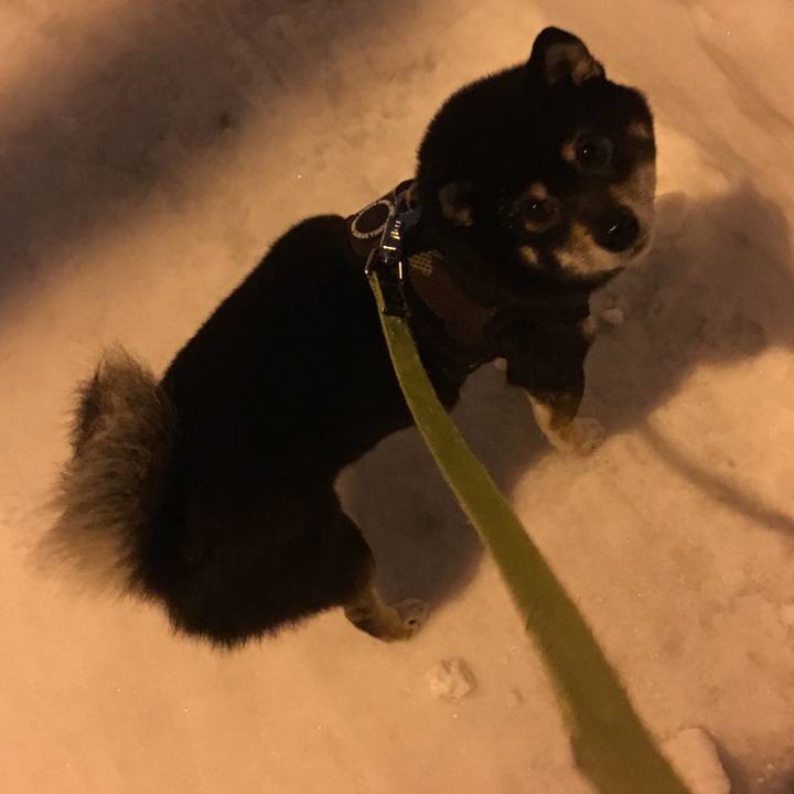 Cd208260 8cbb 452f 89a9 c04219ccbd3e 1515472535975