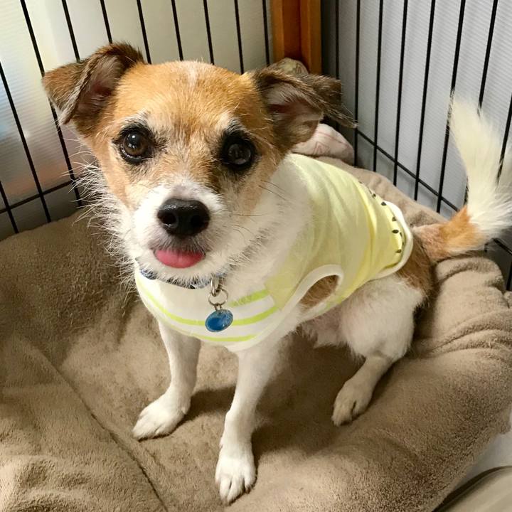 Cd20c968 7be0 4457 9f92 b5846fdaafac 1567377059290