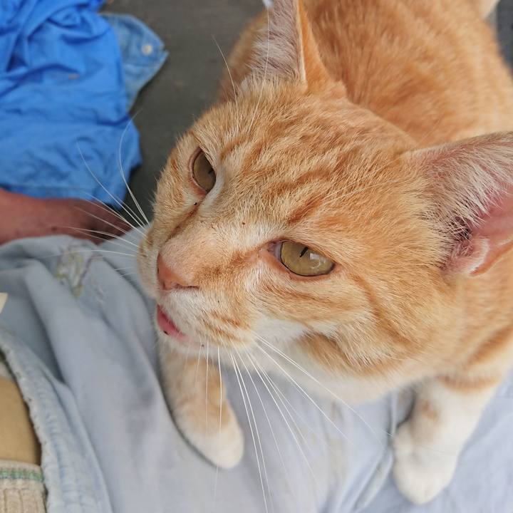 Cd20cfe9 4010 4f33 ac86 8aba5a8a8660 1589690025097