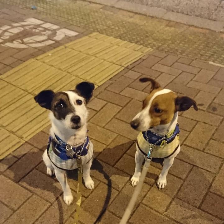 Cd20e543 6899 4065 baaa 8ad5a4ced85f 1557836860784