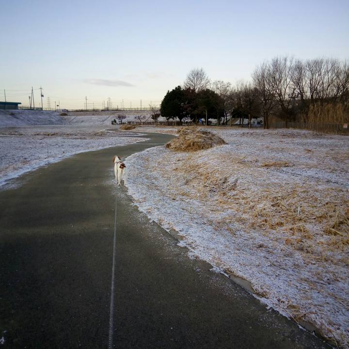 Cd2114b1 cd10 406e 81a2 4d700aafefae 1517022016237