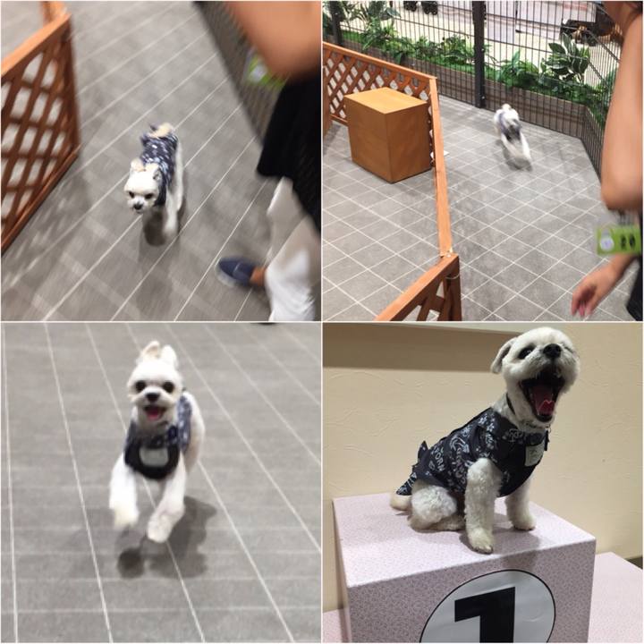 Cd214912 9737 43a4 bfb5 8918c338ee17 1526718595718