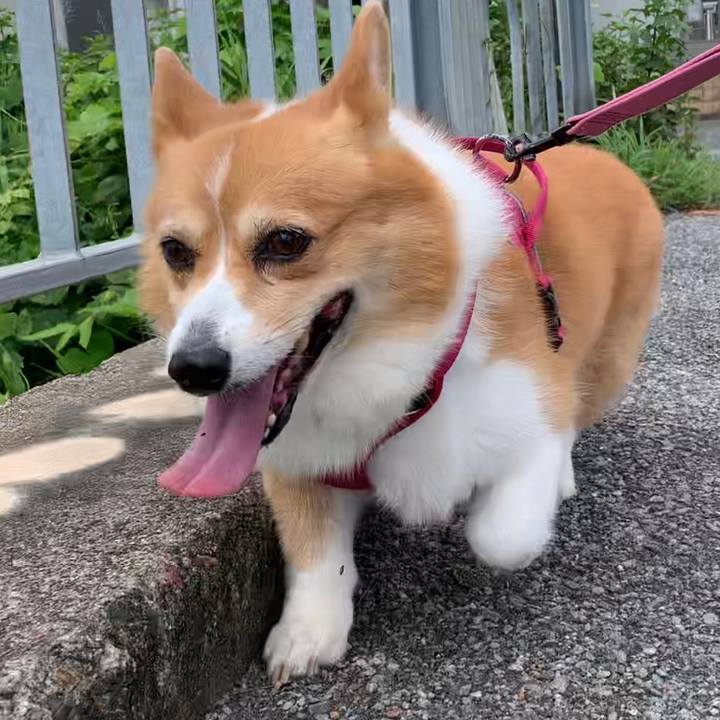 Cd214d43 db5e 4c81 91fd 177977fccd3b 1662340013211