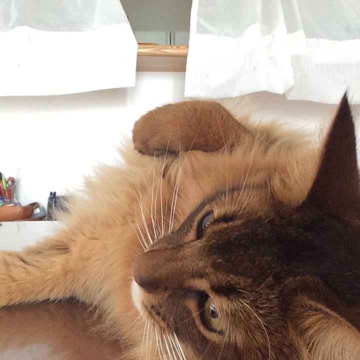 Cd2152c5 4059 4c78 bb9f 0c5928540413 1627347307595