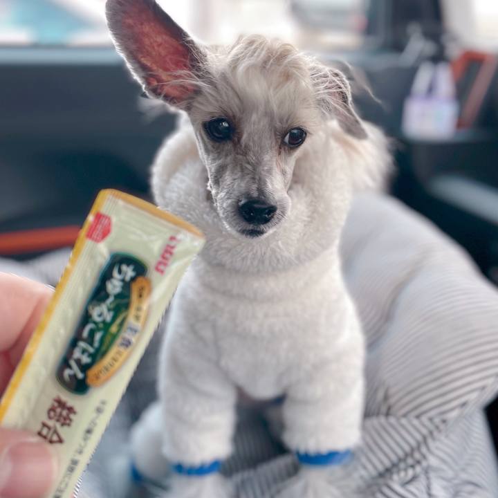 Cd2153da b28e 44c7 9618 fc4f8ec595bf 1764732922945