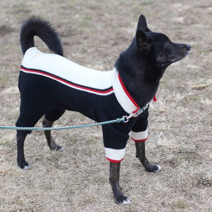 Cd21a0bb 81fb 4f5f 962d 8d73e57bbcdd 1551929859221