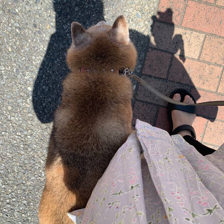 Cd21bdac 8df8 4d7e b077 461625d8e054 1659251165313