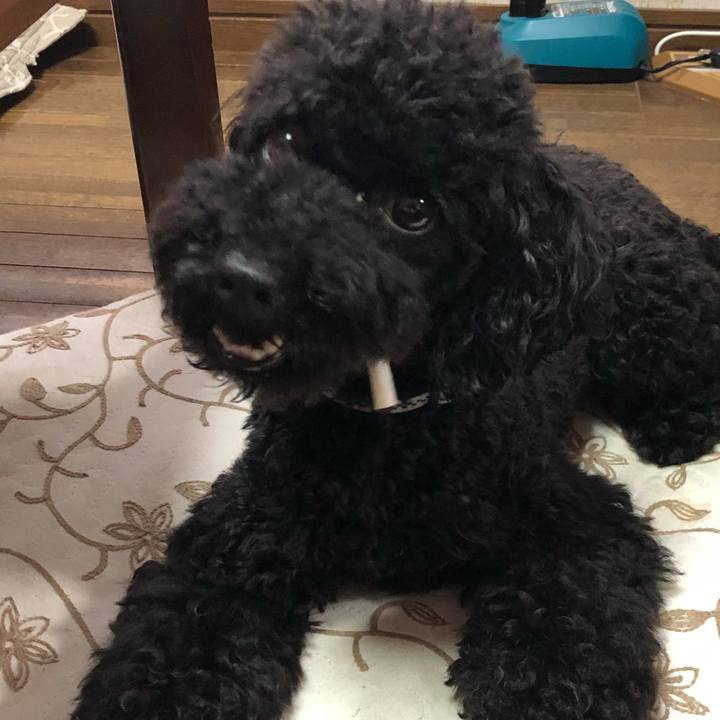 Cd220fc4 4641 45f8 ac86 fad5427031e7 1530569853834