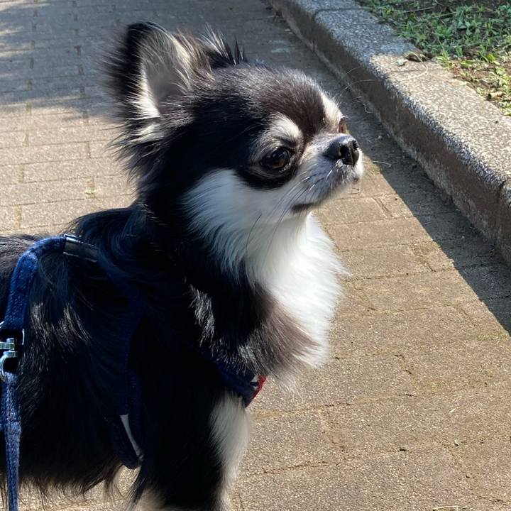 Cd2211cf bf8e 49b4 b153 88fdd4b351ab 1622358555702