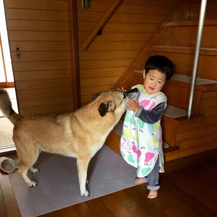 Cd223124 4f63 40ea b76c 15c2c5145e4b 1523316022814