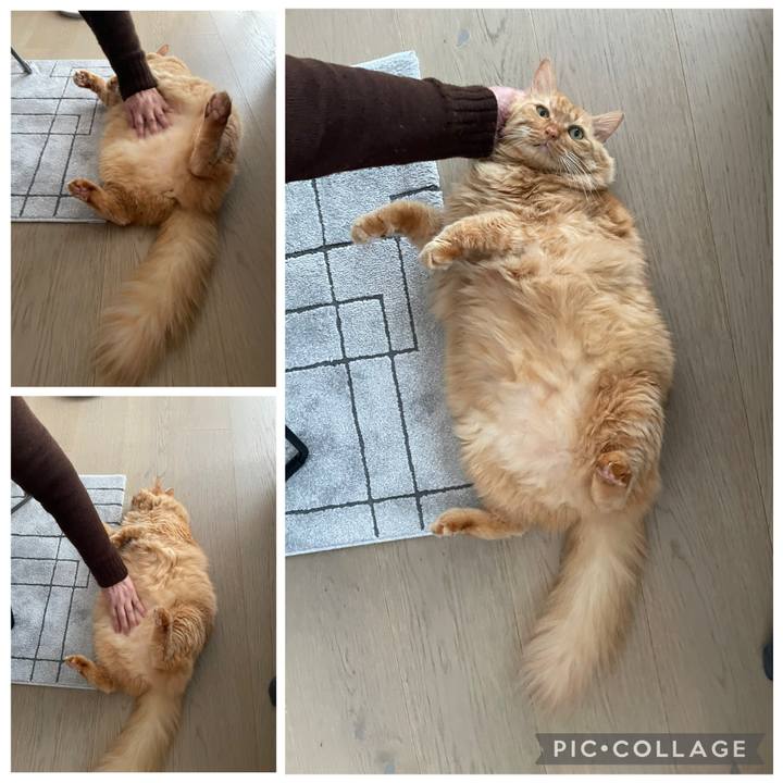 Cd2231f2 7004 4d4d 91cb 28e62fe9936c 1766978618409