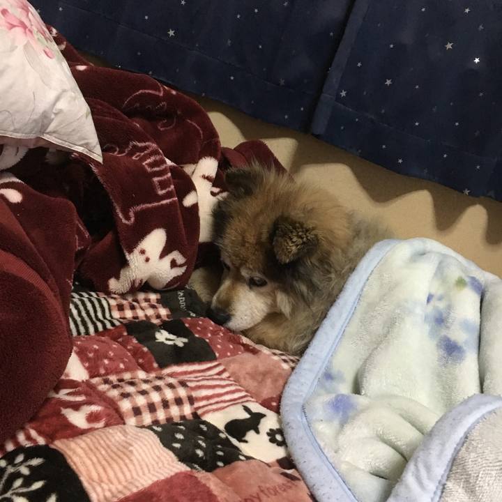 Cd226e3e 17cb 4ada 8546 b758b490a6bc 1550235583280