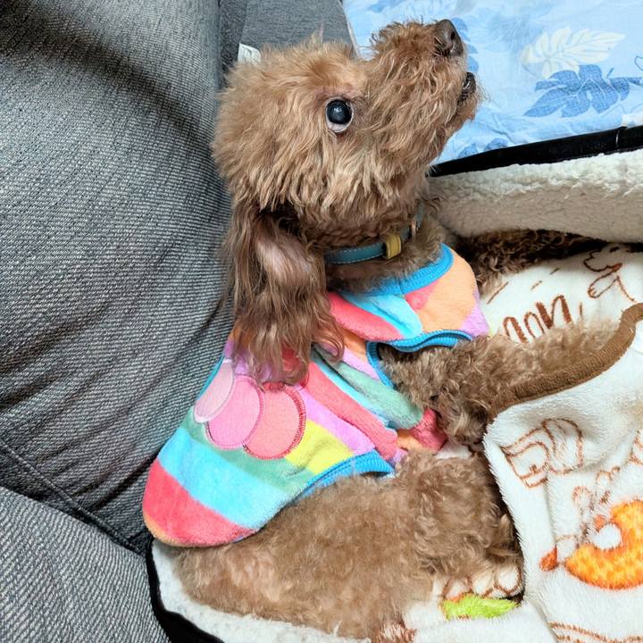 Cd22ad86 9d91 40c2 9854 23f896d80200 1768213607302