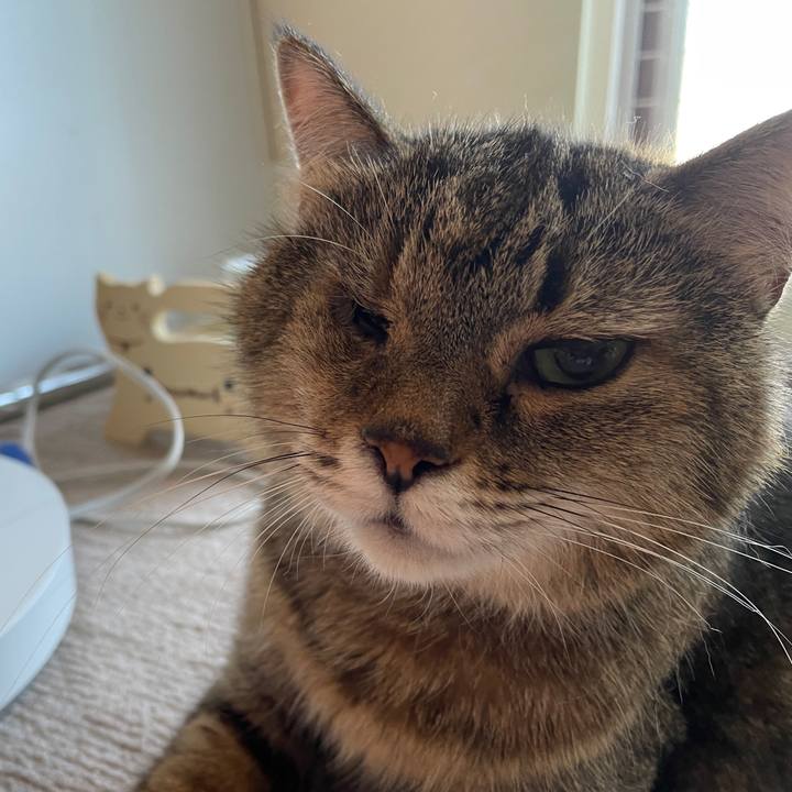 Cd22bc64 c5a4 43b8 b386 9c37642c1cc8 1717541465759