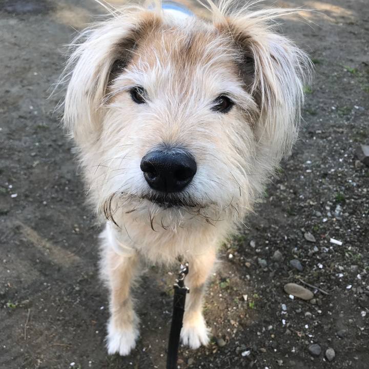 Cd22cb27 6547 4935 a6b4 c23700fa1bd3 1608609950428