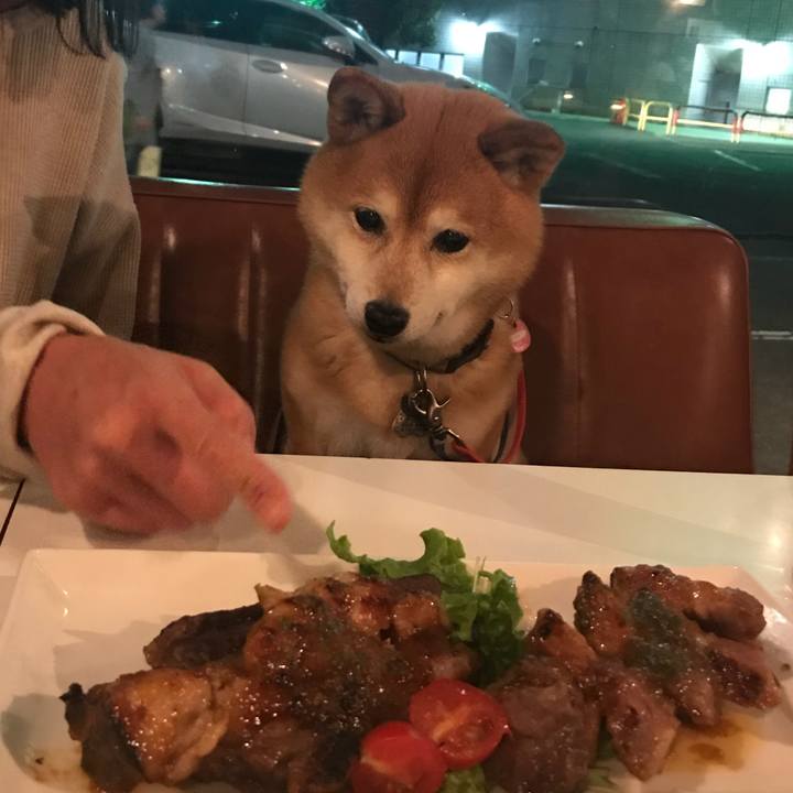 Cd22dfba 5c0e 44eb 8a10 1d4166c2f11c 1525580100842