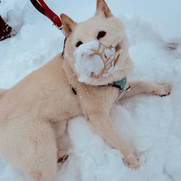 Cd22fd33 6ec3 4f5f ba79 6dc60068cf02 1742163597036