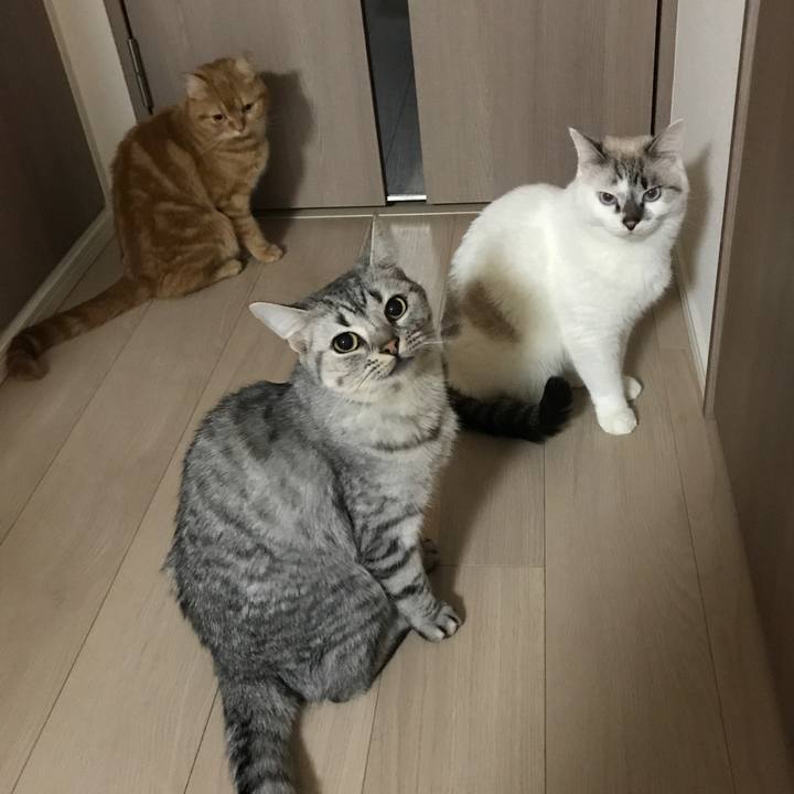 Cd232527 5a12 49b1 9ba5 e6968ed0f6a7 1509622268605