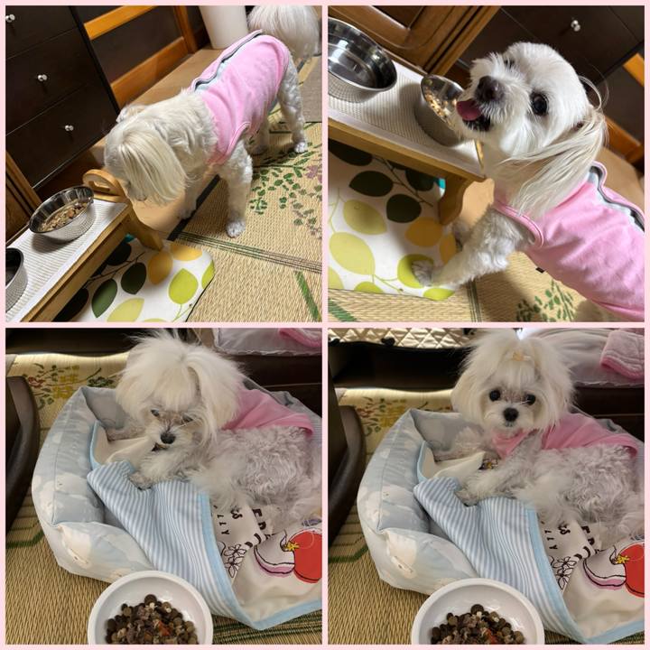 Cd2346cb 617e 4362 a38a 6204a736949e 1757930511101