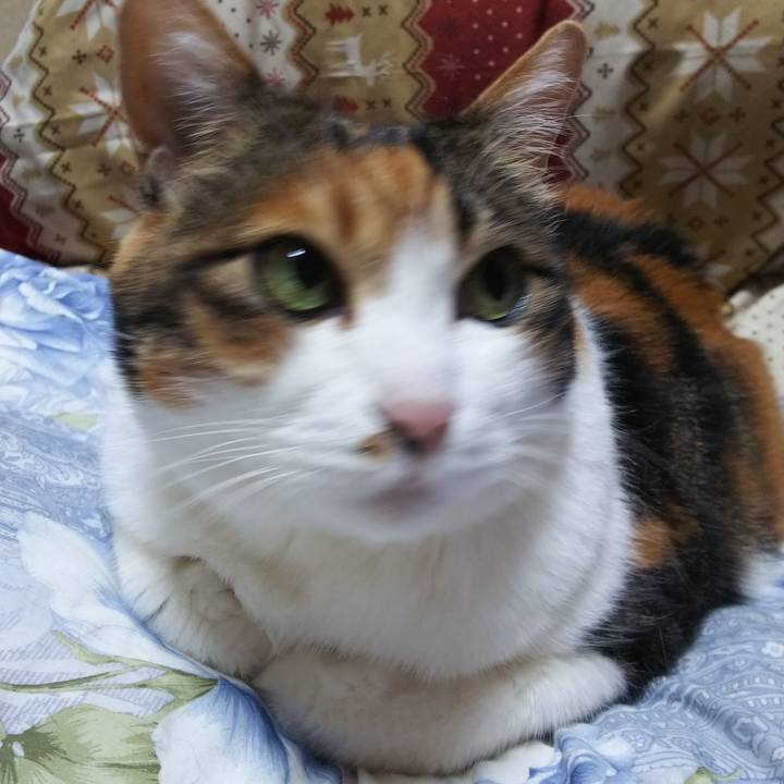 Cd236062 1687 44de ab50 7f6eee75e8f3 1554241546423