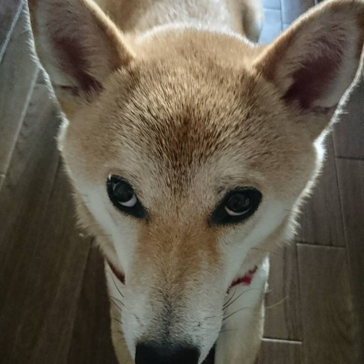 Cd2389cd 6f7a 4c35 be9e 747b212f5a38 1524707845622