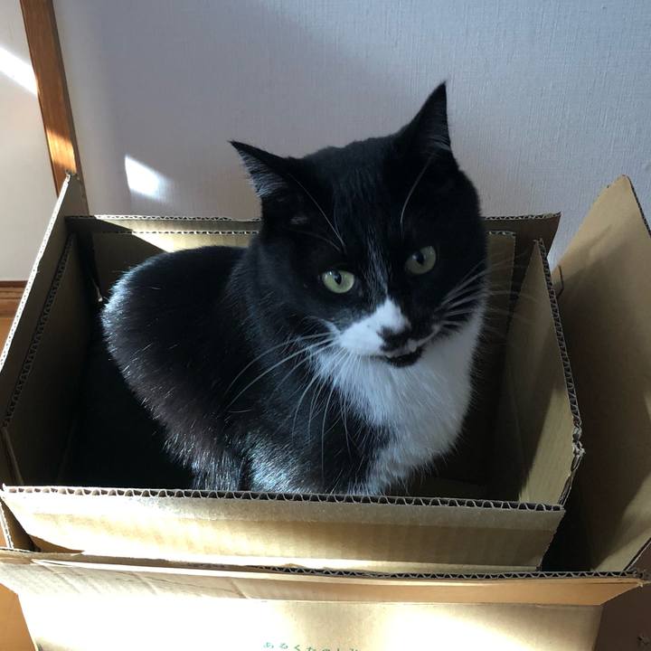 Cd23a93a cfb1 492d 9ae6 2fdd2f668550 1611546260831