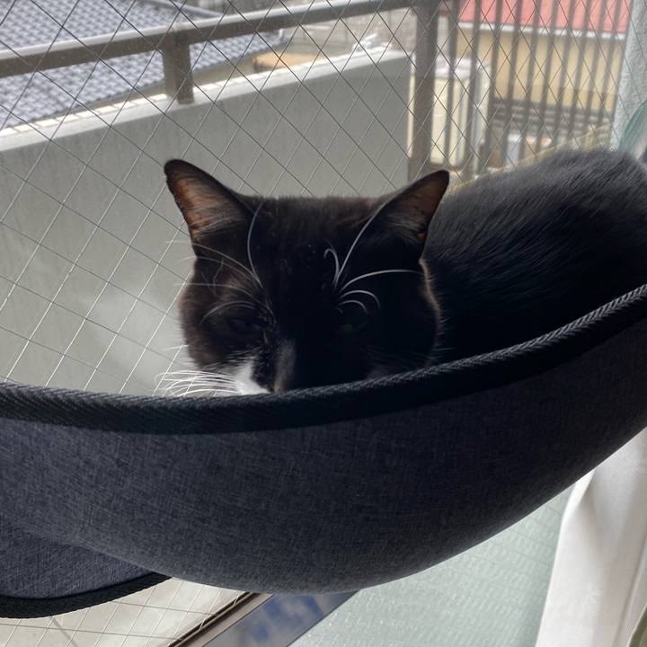 Cd23ae5a 9349 48d7 82c0 e1ce6b61047d 1614659127754