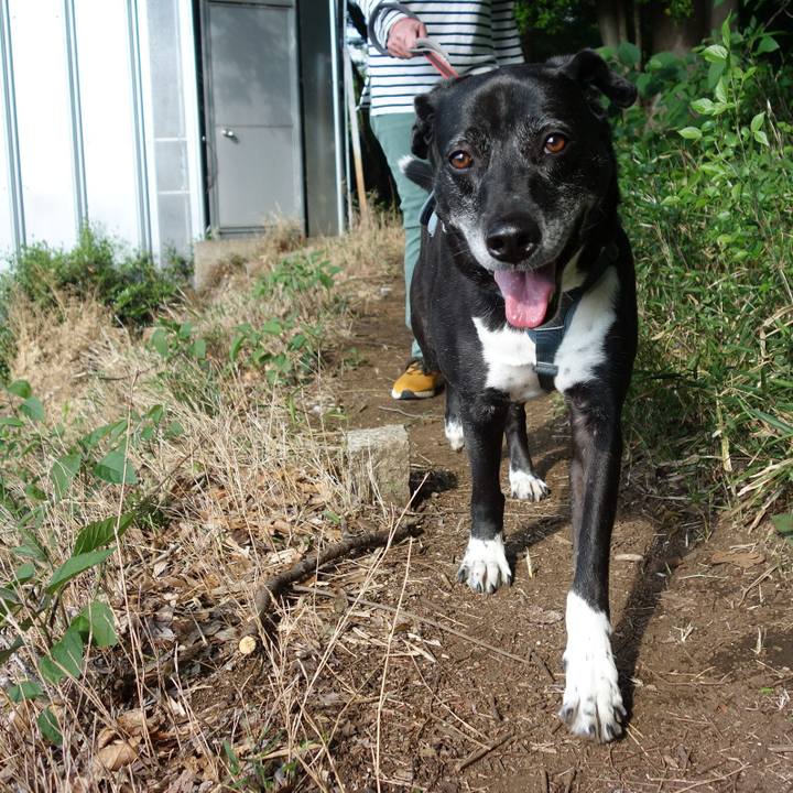 Cd23c5c1 6d6f 404a 83c4 b59a65acc471 1746057023551