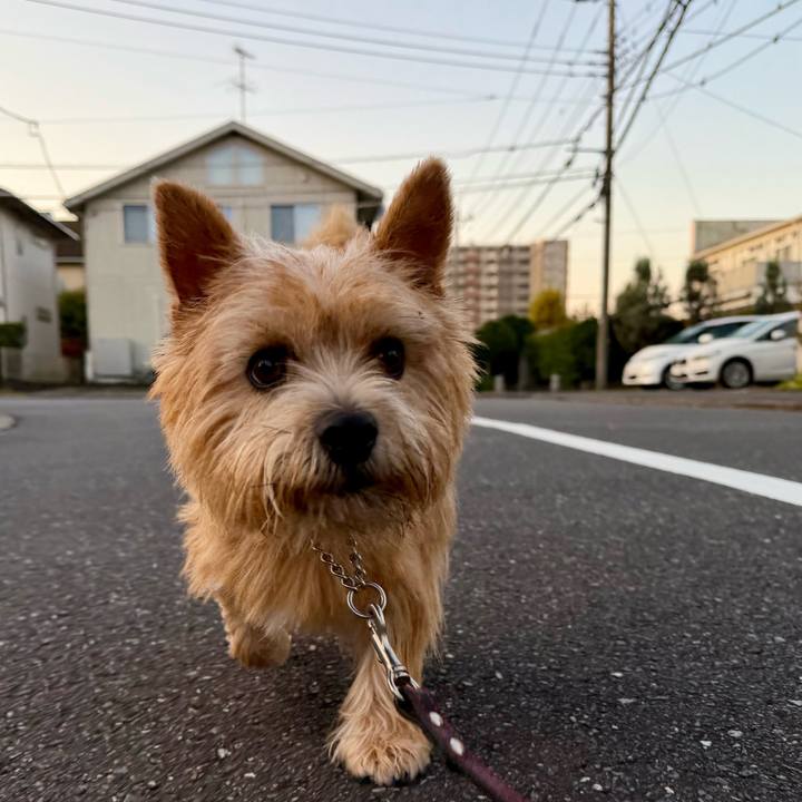 Cd23fe6a dc18 45bb 9797 23194e9cd135 1762504842123