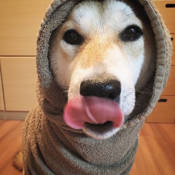 Cd24062f f905 455c b4a6 71e96d420154 1516109509815