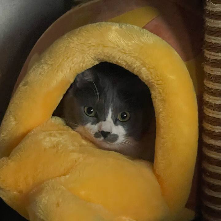 Cd242e93 0418 4217 8864 b30ad3a80851 1734678565652