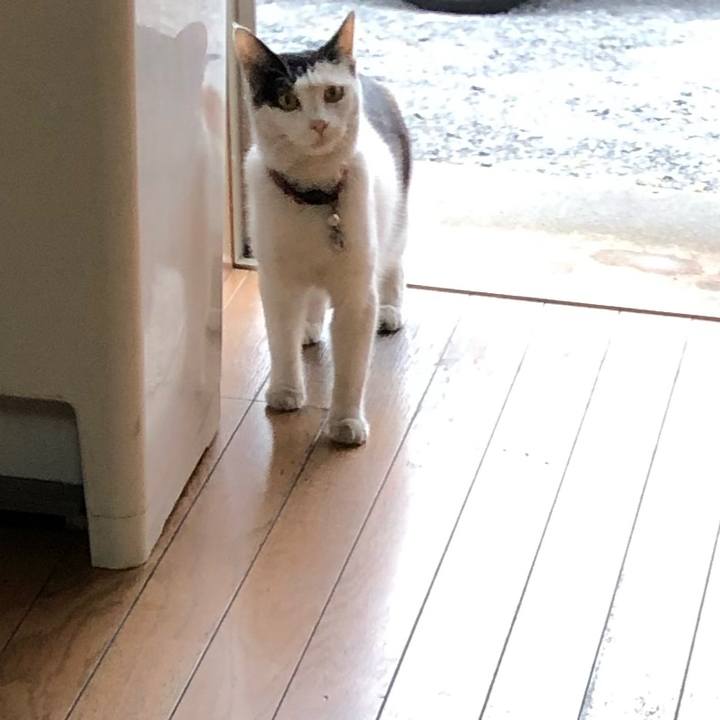 Cd243b4c f455 4cf3 9728 bcd7126d27bb 1624705085744